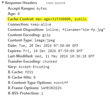 Liferay  : Overwrite Cache-Control headers in Document Library files